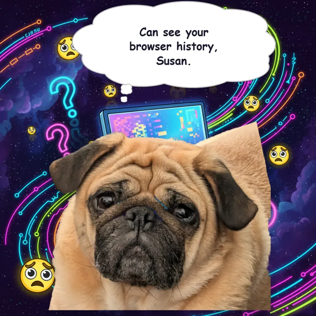 A pug thinking: Can see your browser history, Susan.